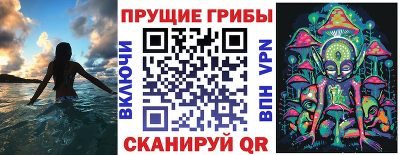 мега как зайти Цимлянск Галлюциногенные грибы GOLDEN TEACHER